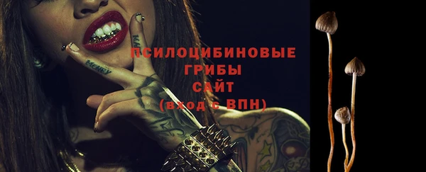 соль ск Алексеевка