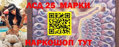 крисы Гай