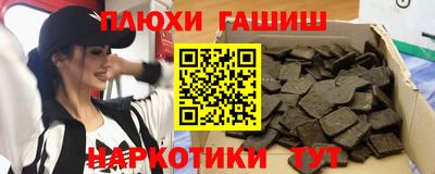 крисы Гай