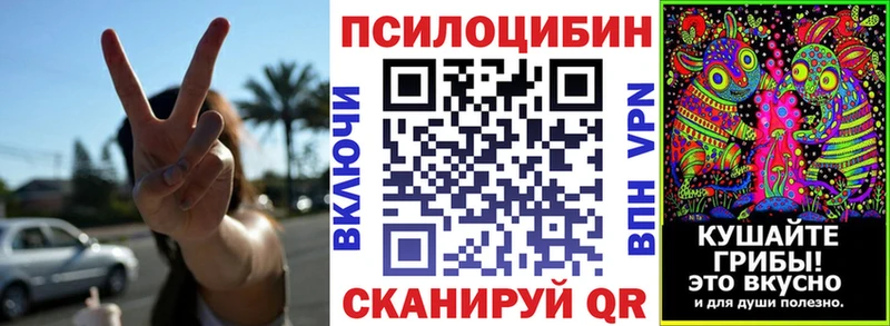 Псилоцибиновые грибы Psilocybe  Подольск 