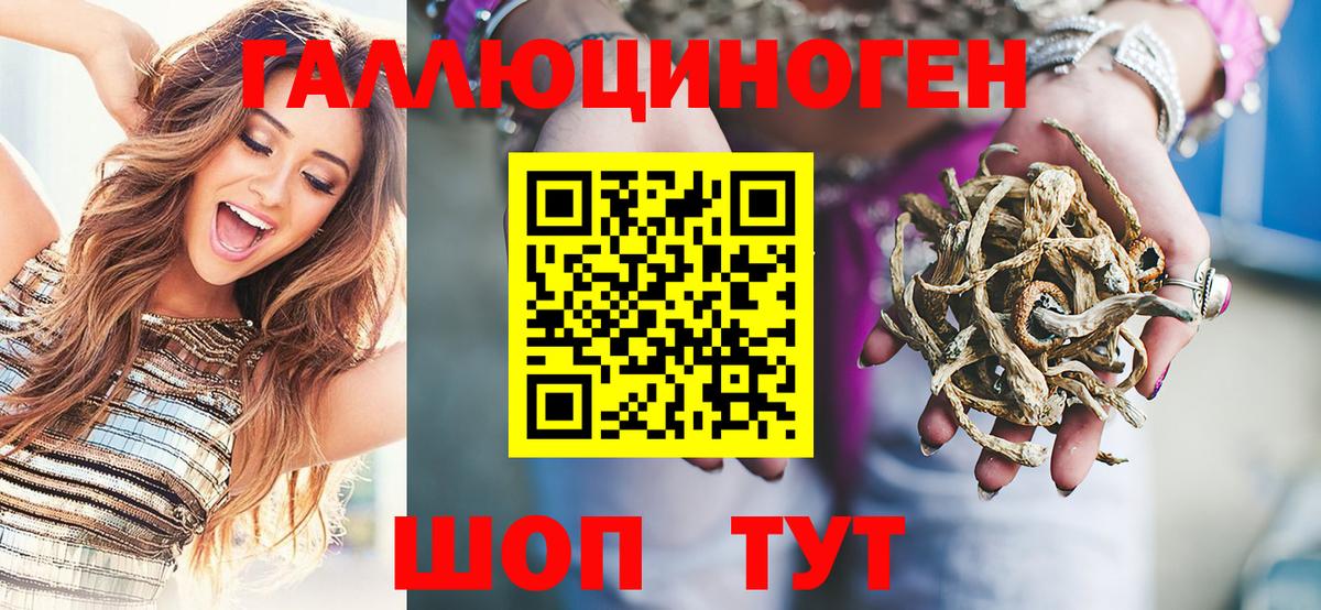 Псилоцибиновые грибы Psilocybe Подольск